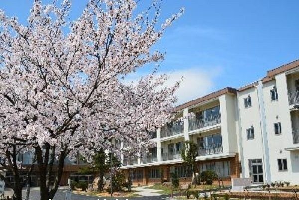 近くの国高小学校まで350m（徒歩5分）