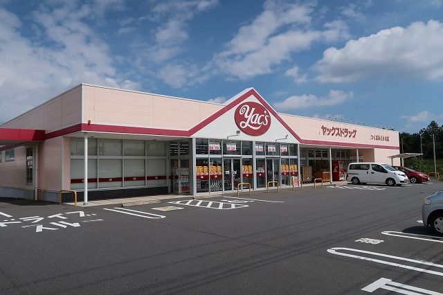 近くのヤックスドラッグみどりの店まで1,300m(徒歩17分)