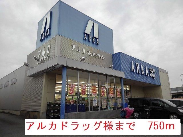 近くのアルカドラッグまで750m(徒歩10分)