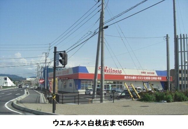 近くのウエルネス白枝店まで650m（徒歩9分）