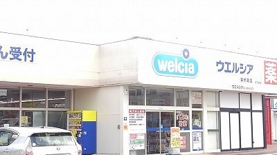 近くのウェルシア幸手東店まで220m(徒歩3分)