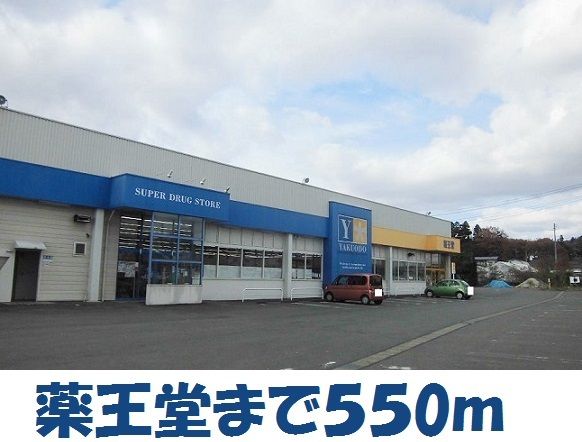 近くの薬王堂北上村崎野店まで550m(徒歩7分)