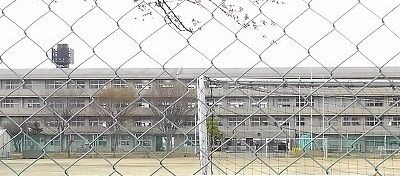 近くの白岡中学校まで850m(徒歩11分)