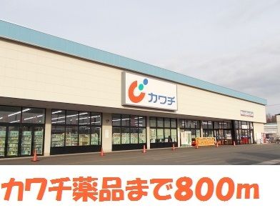 近くのカワチ薬品一関店まで800m（徒歩10分）