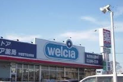 近くのウエルシア薬局高浜田戸町店まで550m（徒歩7分）