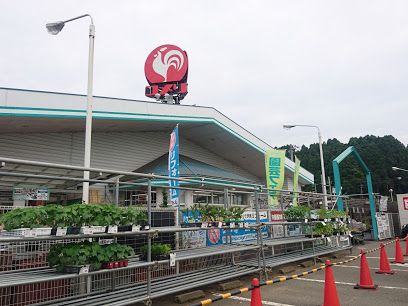 近くのコメリハード＆グリーン 織田店まで1,000m（徒歩13分）