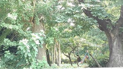 近くの八幡公園まで550m（徒歩7分）