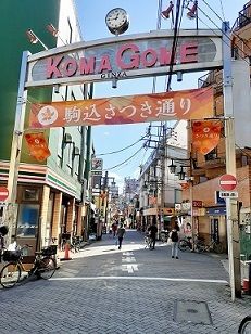 近くの駒込さつき通り商店街まで128m(徒歩2分)