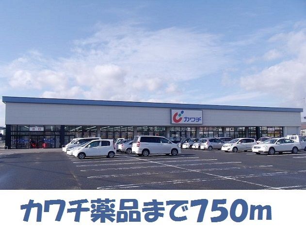 近くのカワチ薬品花巻店まで750m（徒歩10分）