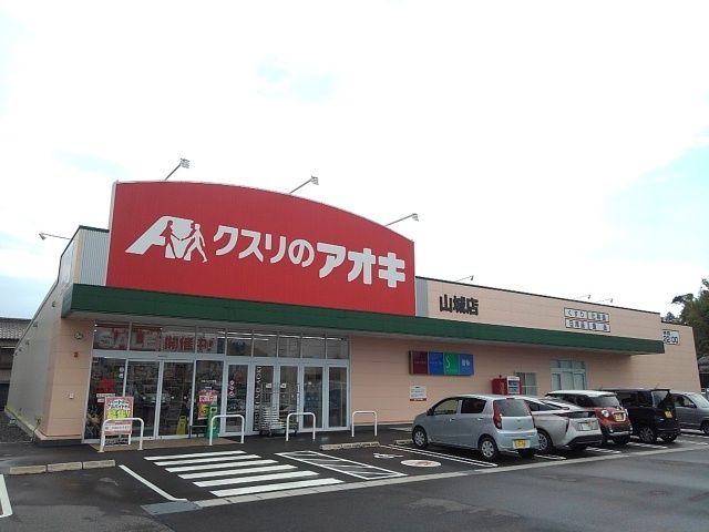 近くのクスリのアオキ山城店まで650m（徒歩9分）