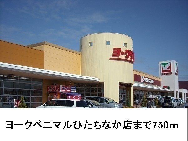 近くのヨークベニマルひたちなか店まで750m（徒歩10分）