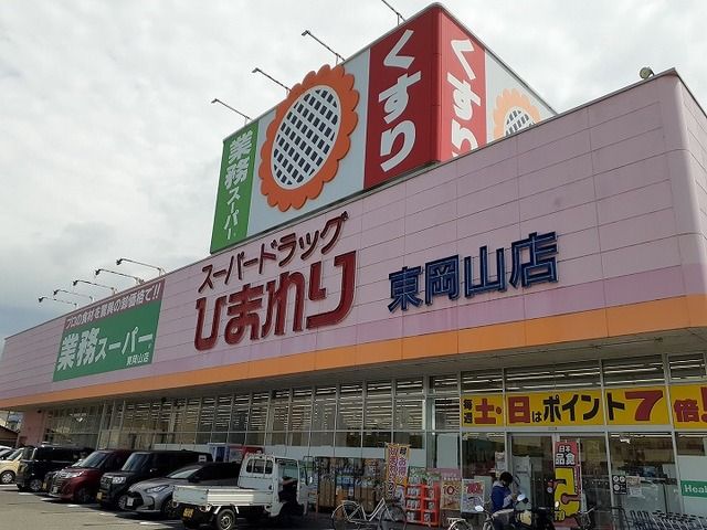 近くのスーパードラッグひまわりさんまで700m（徒歩9分）