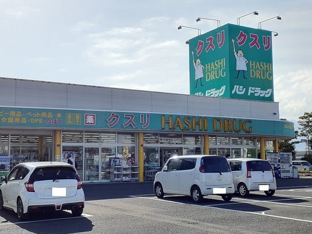 近くのハシドラッグ西店まで260m（徒歩4分）