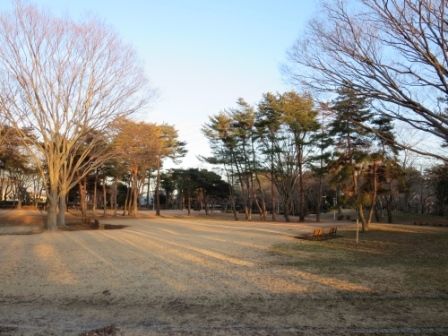 近くの赤塚公園まで300m（徒歩4分）