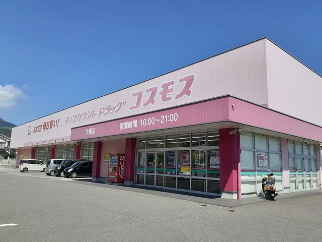 近くのコスモスまで800m(徒歩10分)