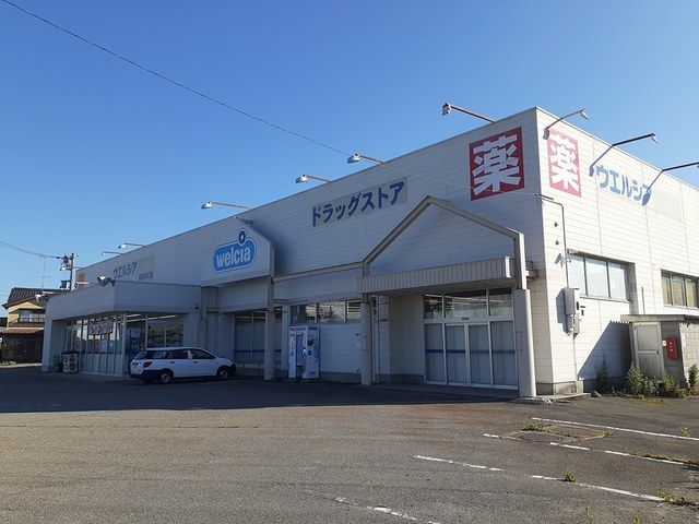 近くのウェルシアまで1,000m（徒歩13分）