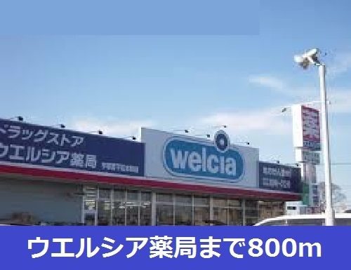 近くのウエルシア薬局まで800m（徒歩10分）