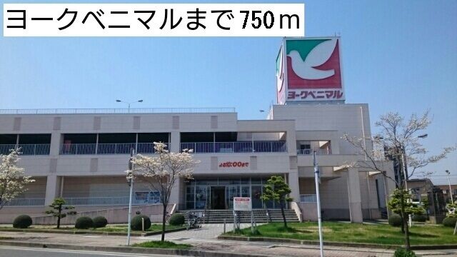 近くのヨークベニマルまで750m（徒歩10分）