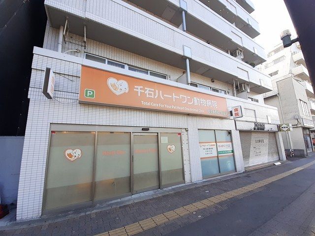 近くの千石ハートワン動物病院まで313m（徒歩4分）