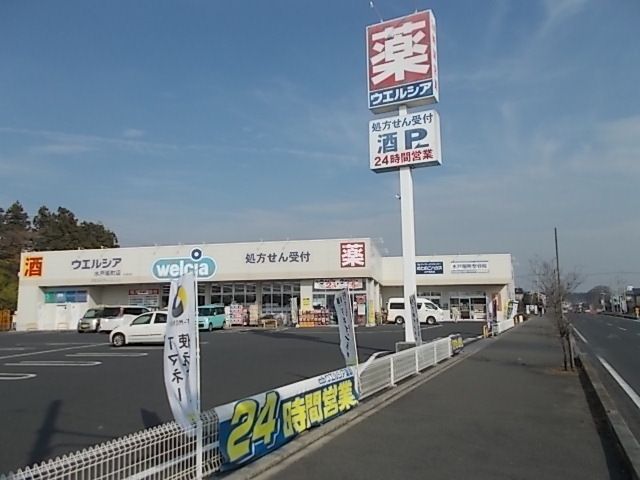 近くのウエルシア　水戸堀町店まで400m（徒歩5分）