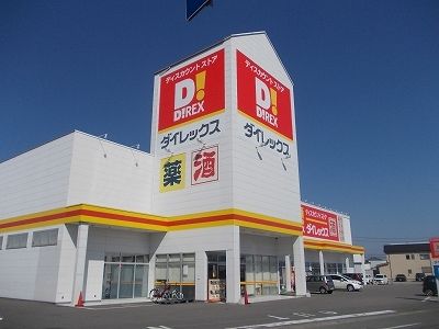 近くのダイレックス板野店まで1,000m（徒歩13分）