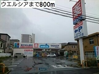 近くのウエルシアまで800m（徒歩10分）