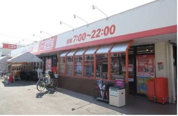 近くのザ・ビッグ相模原二本松店まで750m（徒歩10分）