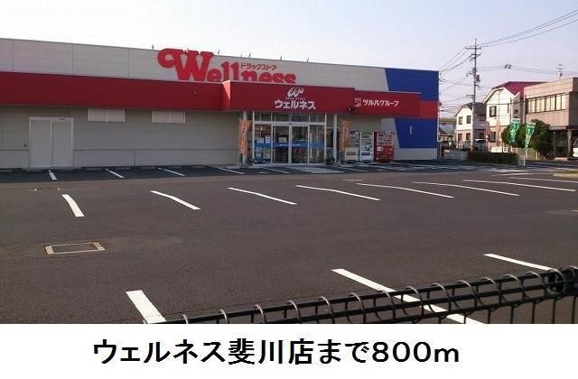 近くのウェルネス斐川店まで800m（徒歩10分）