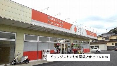 近くのドラッグストアセキ栗橋店まで960m（徒歩12分）