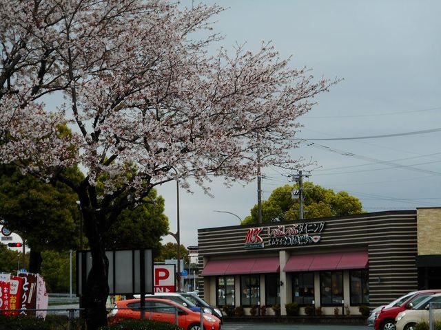 近くの飲食店まで250m（徒歩4分）