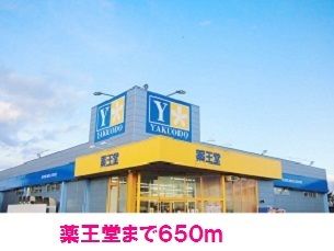 近くの薬王堂まで650m（徒歩9分）