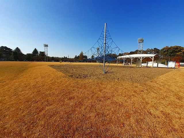 近くの高田城址公園芝生広場まで1,200m（徒歩15分）