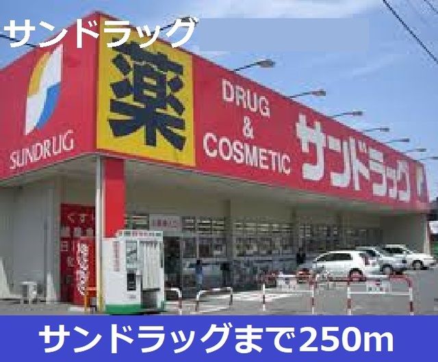 近くのサンドラッグまで250m(徒歩4分)