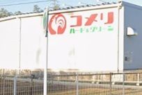 近くのコメリハード＆グリーンまで500m（徒歩7分）