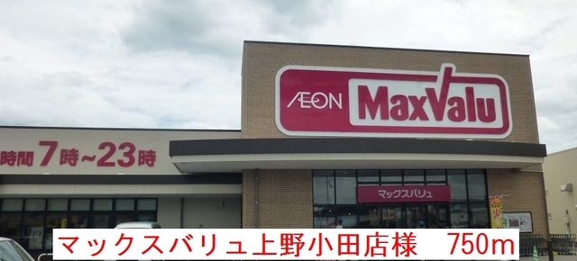 近くのマックスバリュ上野小田店様まで750m（徒歩10分）