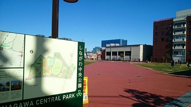 近くの公園まで800m（徒歩10分）