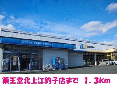 近くのドラッグストアまで1,300m（徒歩17分）