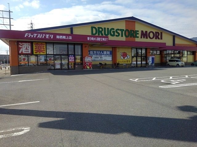 近くのドラッグストアモリ鳥栖蔵上店まで890m（徒歩12分）