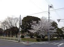 近くの原崎公園まで240m(徒歩3分)