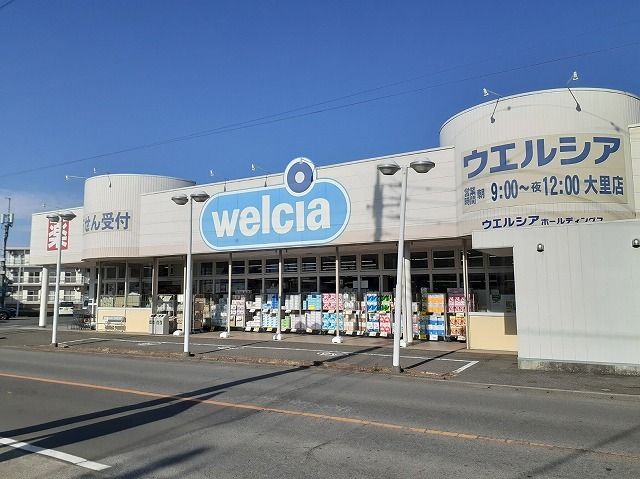 近くのウエルシア大里店まで1,300m（徒歩17分）