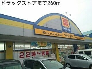 近くのドラッグストアまで260m（徒歩4分）