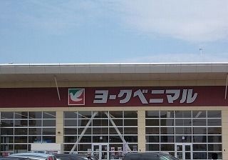 近くのヨークベニマル新田東店まで1,700m（徒歩22分）