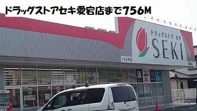近くのドラッグストアセキ愛宕店まで756m(徒歩10分)