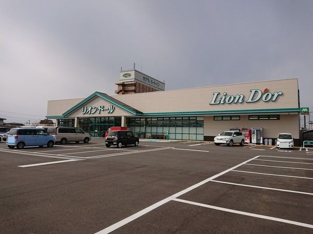 近くのリオンドール千石店まで230m（徒歩3分）