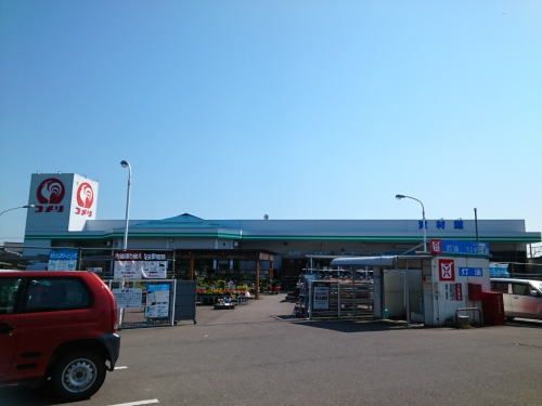 近くのコメリまで1,000m(徒歩13分)