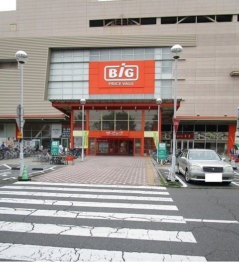 近くのザ・ビッグ昭島店まで1,000m(徒歩13分)