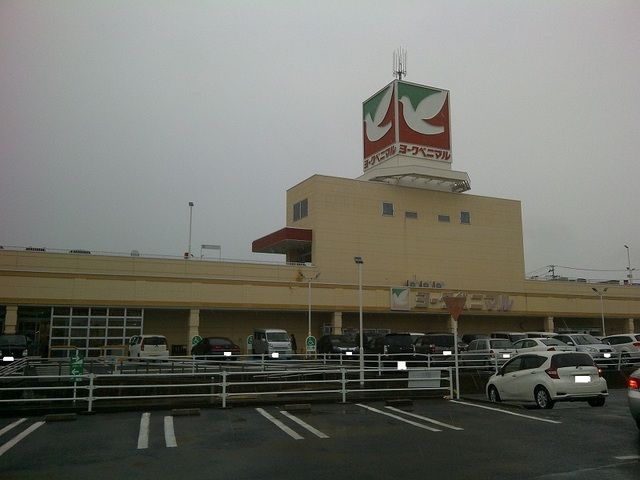 近くのヨークベニマル平野店まで950m（徒歩12分）