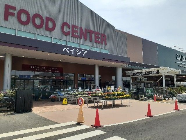 近くのカインズスーパーセンターまで1,300m（徒歩17分）