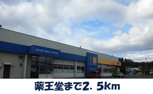 近くの薬王堂村崎野店まで2,500m（徒歩32分）
