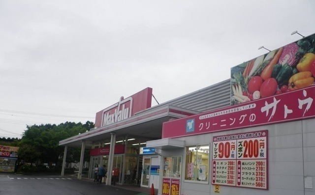 近くのマックスバリュエクスプレスまで350m(徒歩5分)